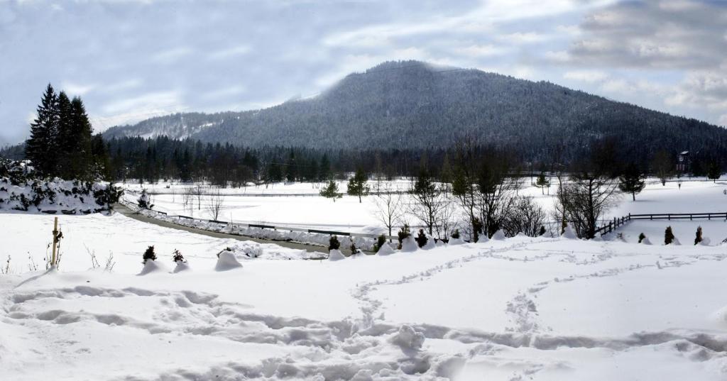 Landhaus Am Golfplatz Seefeld in Tirol Exterior photo